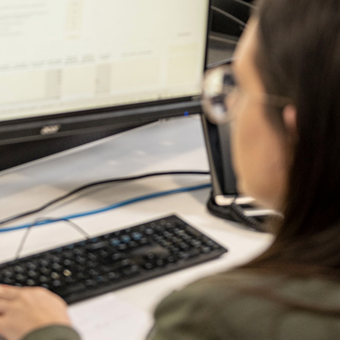 Accountant on Computer